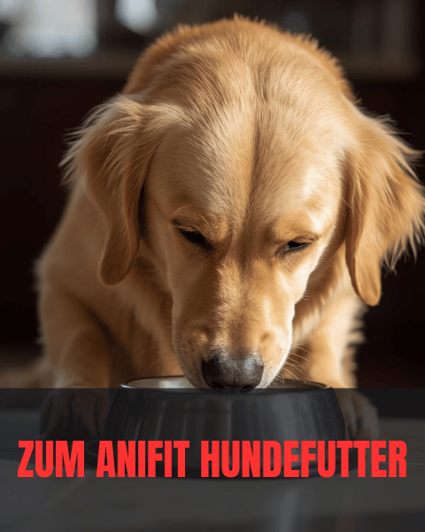 ANIfit Hundefutter